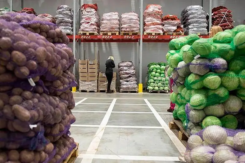 پرەزيدەنت تاپسىرماسى: الماتىدا كوتەرمە- تاراتۋ ورتالىقتارى قۇرىلادى