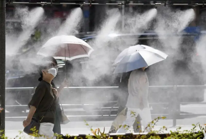 Третий день подряд в Токио госпитализируют более 200 человек из-за жары