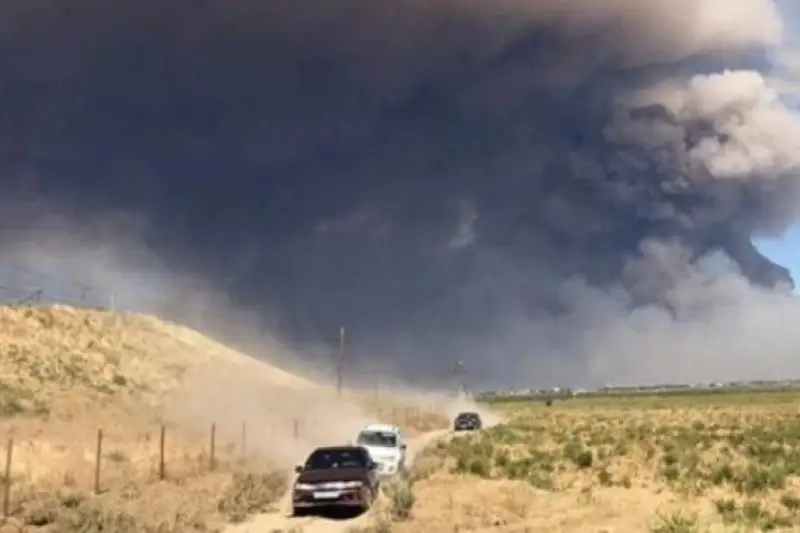 ارىستاعى جارىلىس: 16 اسكەري كۇدىكتى سوتتا جاۋاپ بەرۋدە