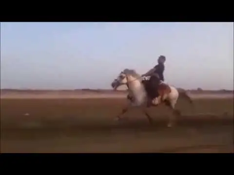 جاي جىلقىدان جورعا شىعارۋ