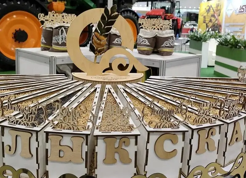 Устойчивый к засухе новый сорт пшеницы представили в Астане