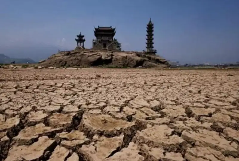 Какие находки обнаружили в мире из-за засухи
