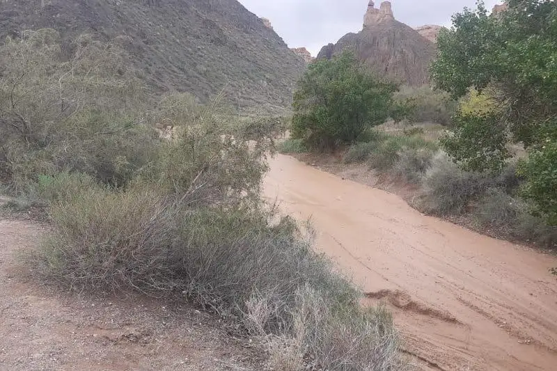 جەلىدە شارىن شاتقالىنداعى سەلدىڭ ۆيدەوسى پايدا بولدى