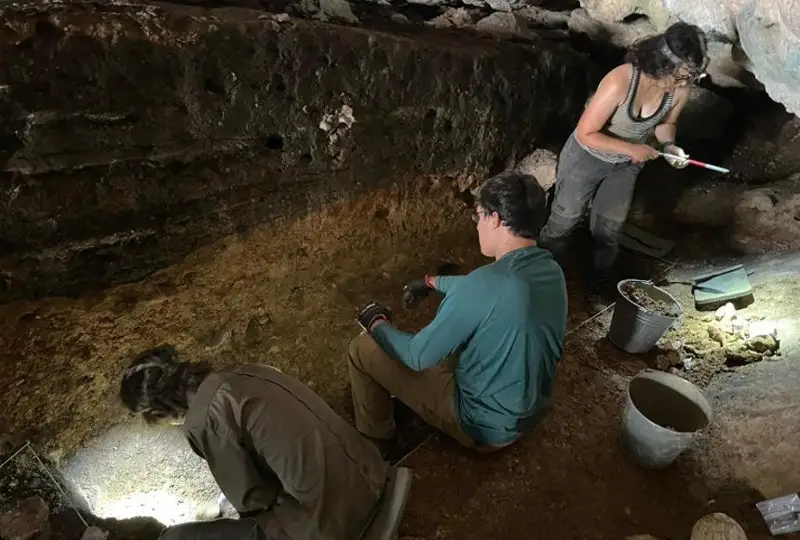 Следы жившего 48 тыс. лет назад человека обнаружили в Туркестанской области