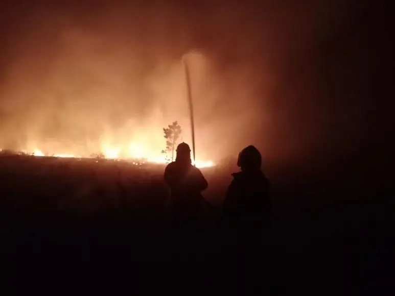 Шесть пассажирских и 11 грузовых поездов задержаны из-за пожаров в Костанайской области