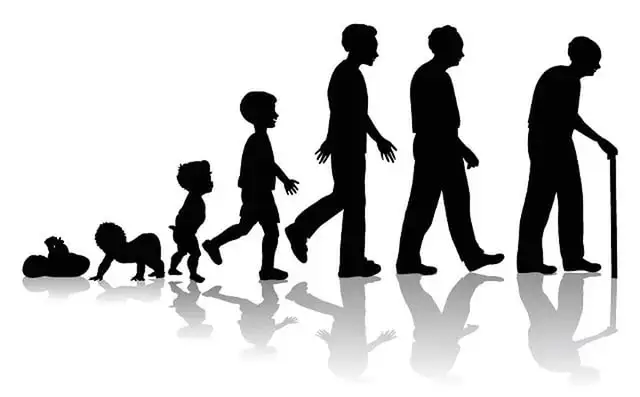 ادام نەگە قارتايادى؟