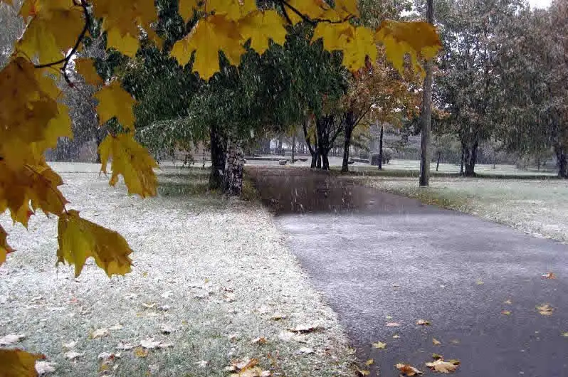 None