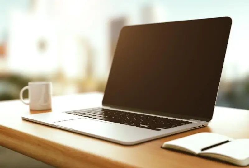 Ноутбук имеет каждый пятый городской и каждый девятый сельский житель