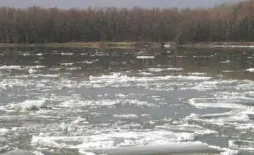 جەتى امال جايلى نە بىلەسىز؟