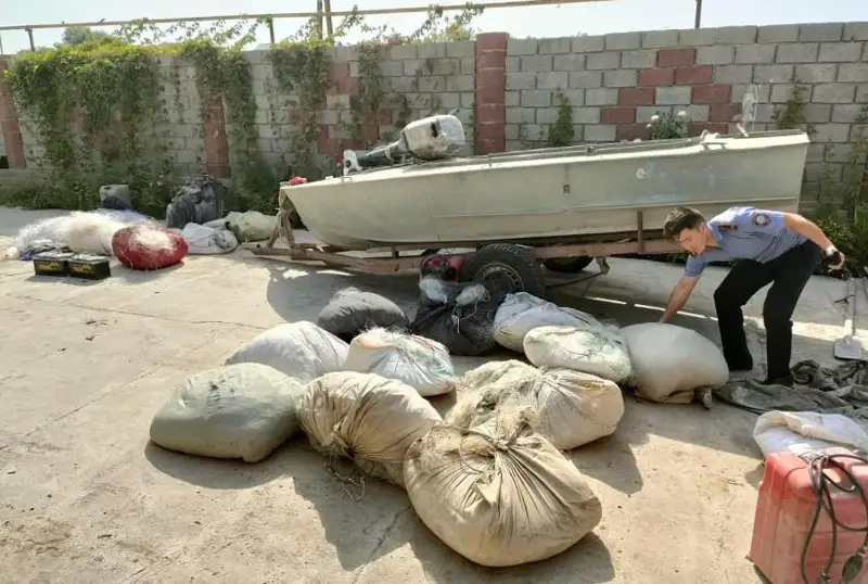 Рыбу на 11,5 млн тенге выловили браконьеры в Туркестанской области