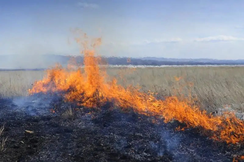 Добровольцы самостоятельно ликвидировали 25% степных пожаров в прошлом году - МЧС