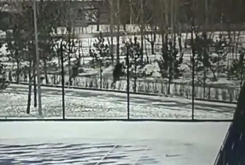 Двое парней избили и ограбили прохожего в Астане