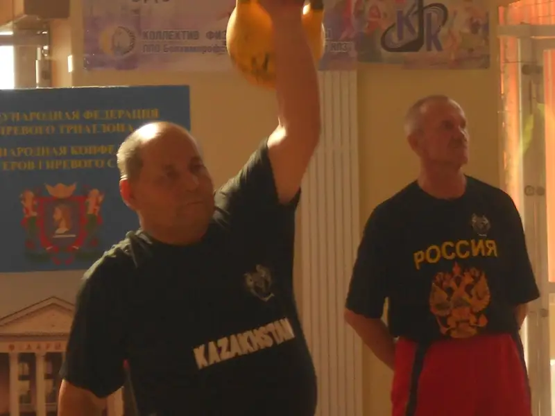 Қанатты арыстан