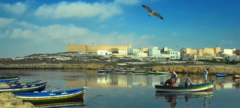 Чужеродных рыб и крабов будут вылавливать из Средиземного моря и продавать на рынках