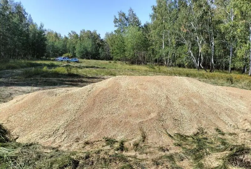 Кражу зерна почти на 1,5 млн тенге пресекли в СКО