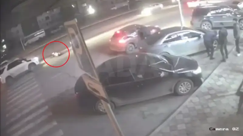 اقتاۋدا جاياۋ جۇرگىنشىنى كولىك قاققان ءسات ۆيدەوعا ءتۇسىپ قالدى