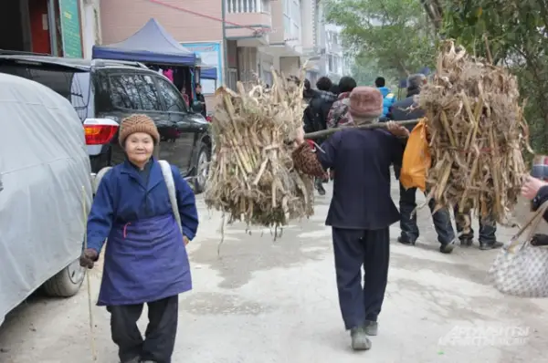 ۇزاق ءومىر ءسۇرۋدىڭ قۇپياسى: الەم ەلدەرىنىڭ تاجىريبەسى