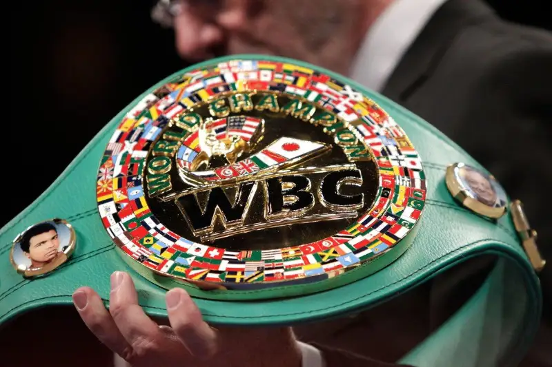 Казахстанские боксеры узнали свои места в обновленном рейтинге WBC