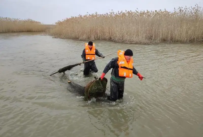Пограничники задержали 109 браконьеров на Каспии