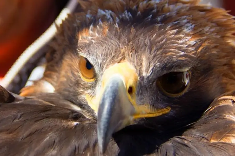 &ETH;&ETH;&raquo;&ETH;&frac14;&ETH;&deg;&Ntilde;&Ntilde;&ETH;&acute;&ETH;&deg; &Ograve;&ETH;&deg;&ETH;&frac12;&ETH;&deg;&Ntilde;&Ntilde; &Ograve;&ETH;&deg;&Ntilde;&ETH;&deg;&ETH;&sup1;&Ograve;