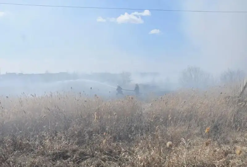 Огонь с камышей перекинулся на территорию нефтебазы в Петропавловске
