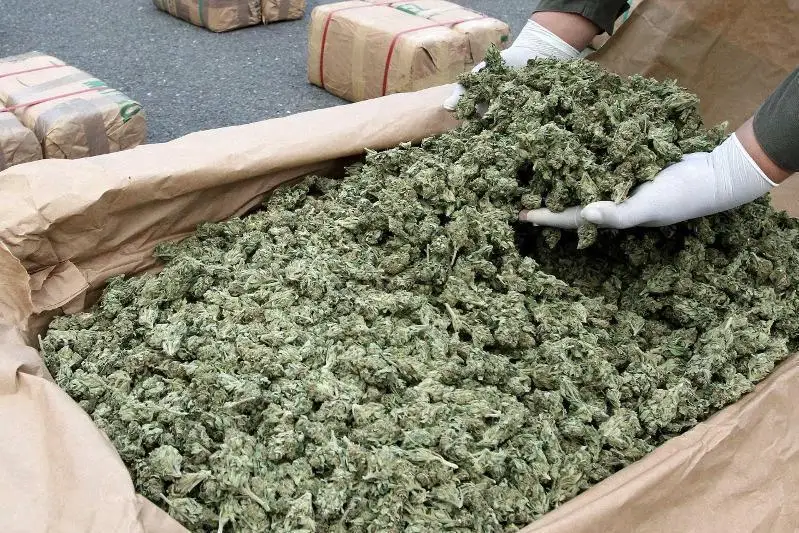 جامبىلدا 3 توننادان استام ەسىرتكى تاركىلەندى