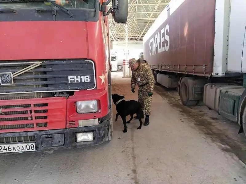 Qazaq-qyrǵyz shekarasynda avtokólik keptelisi paıda boldy