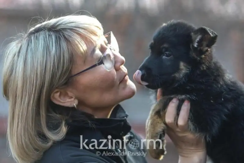 О службе в полиции рассказала женщина-кинолог из Алматы