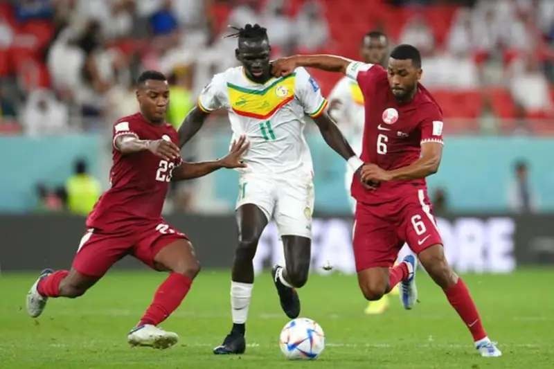 Fýtboldan álem chempıonatynda Senegal quramasy Qatardy jeńip ketti