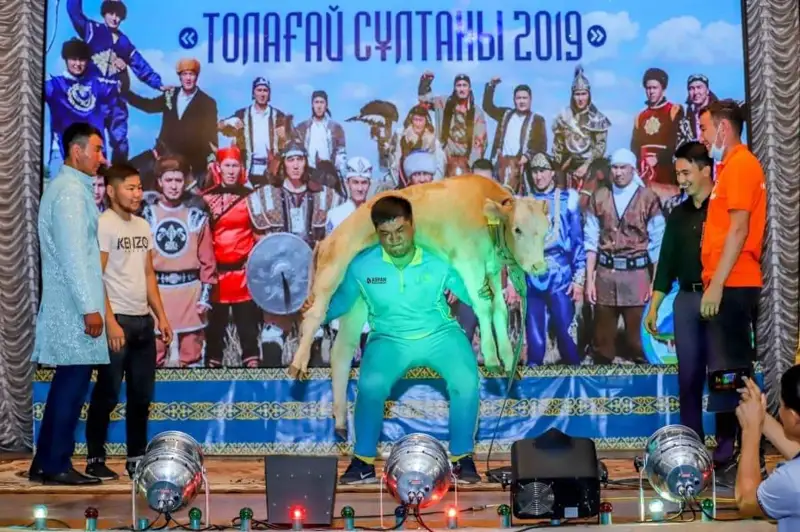 تۇركىستاندىق بالۋان «جىگىت سۇلتانى» اتانىپ، 1 ميلليون تەڭگەنى جەڭىپ الدى