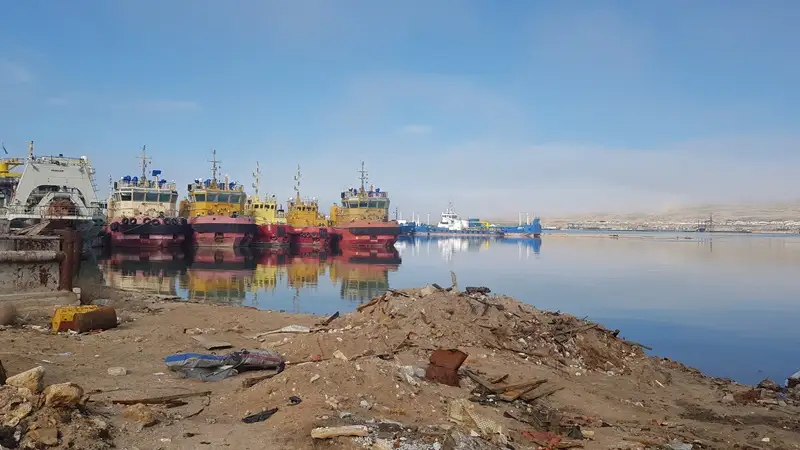 Каспий теңізінің қазақстандық бөлігіне мұнай қалдықтары төгілген
