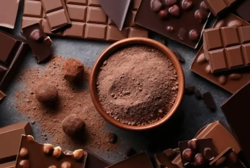 Испорченную партию бельгийского шоколада используют в производстве «зеленой энергии»