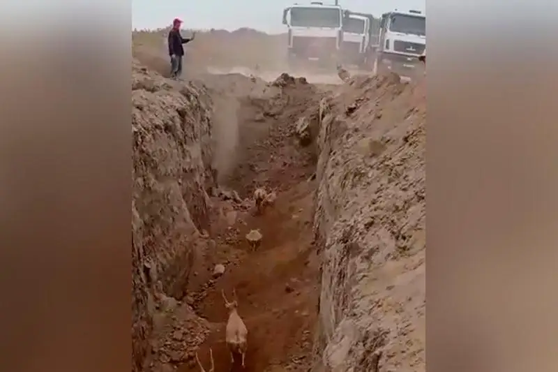 باتىس قازاقستاندا كيىكتەر جول سالۋشىلار قازعان ترانشەياعا ءتۇسىپ كەتتى