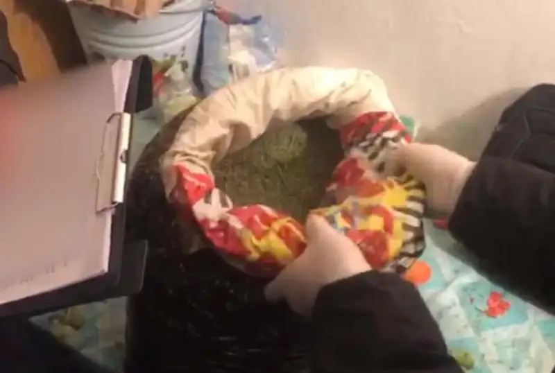 10 кг марихуаны хранил у себя дома житель Туркестанской области