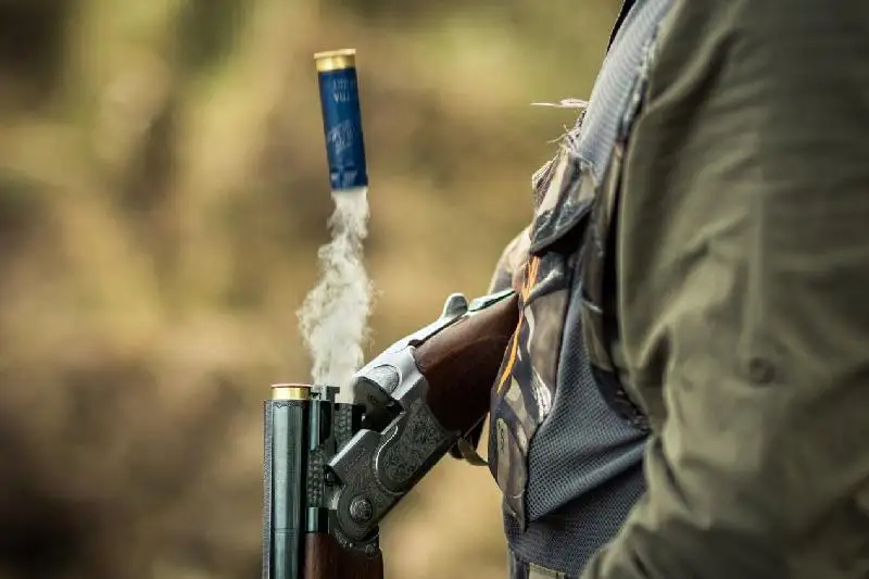 قاراعاندىلىق فەرمەر كورشىسىنىڭ جىلقىلارىن اتىپ تاستاعان