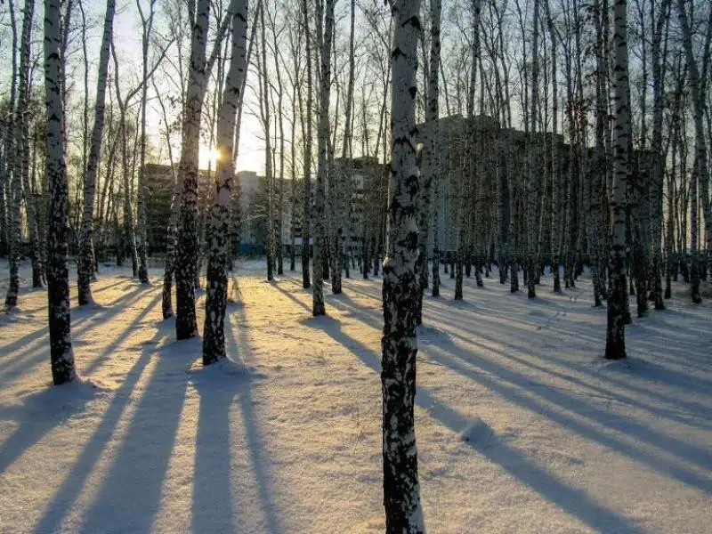 كارى قۇداڭ - قىستىڭ الەگى ايازى عانا ەمەس.. .