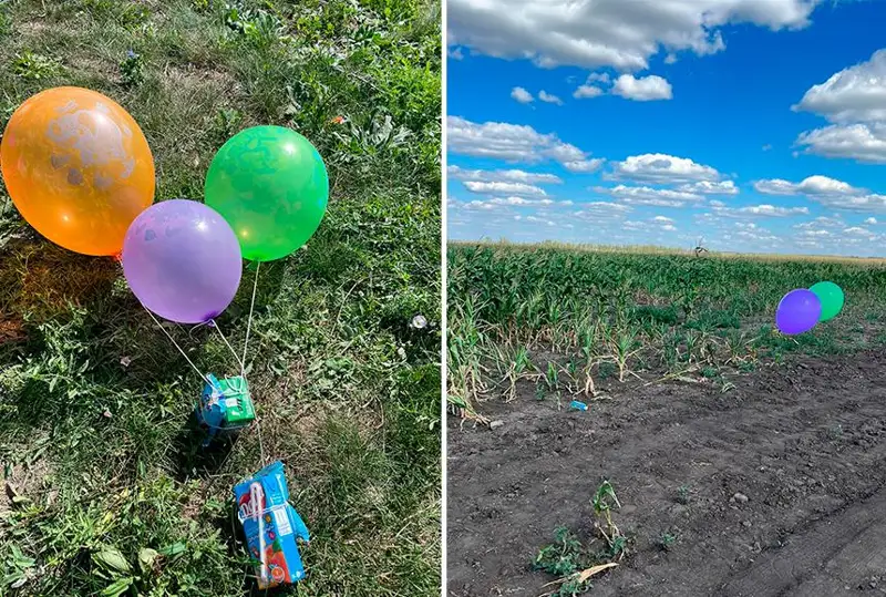 Дельтапланы и воздушные шары: в оперштабе озвучили план поиска пропавшей девочки