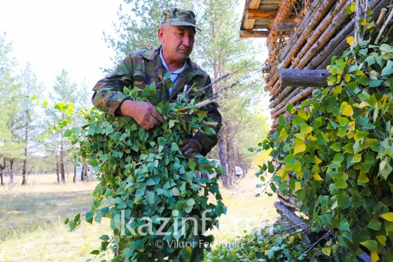 Вопрос увеличения зарплат сотрудникам лесного хозяйства рассматривают в РК