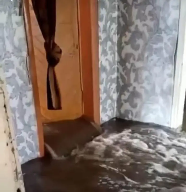 Pavlodar aýdanynda erigen qar sýy kóp balaly otbasynyń úıin basyp qaldy