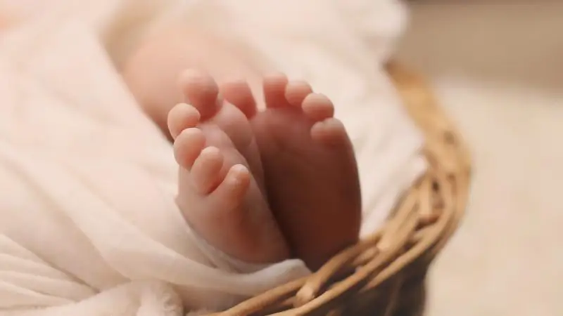 ون توعىز ميلليونىنشى قازاقستاندىق تۋرالى نە بەلگىلى؟