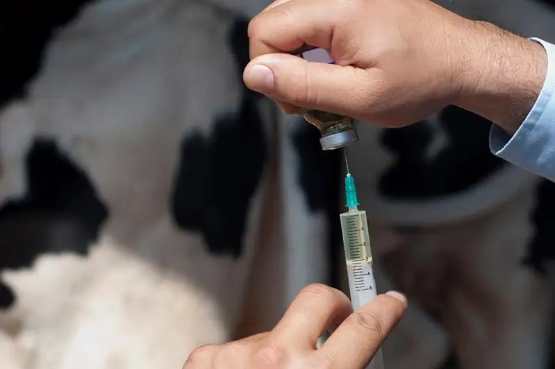 Контроль над ветеринарной и фитосанитарной безопасностью усилят в Карагандинской области