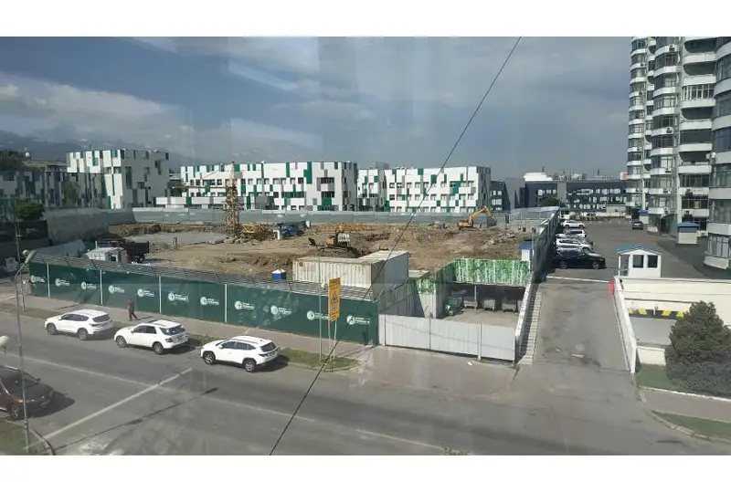 Деревья вырубили из-за пристройки к школе в Алматы