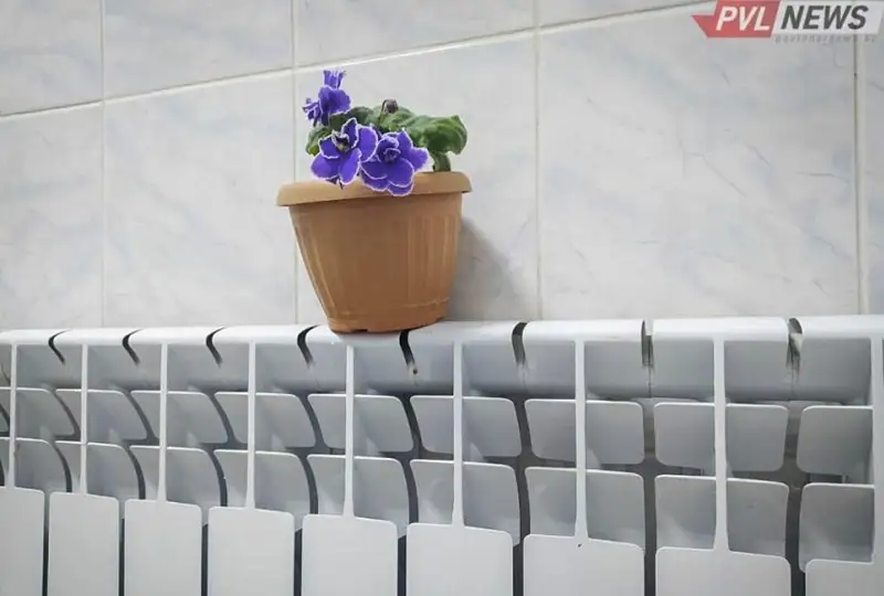 Pavlodarda 19 qyrkúıekten jylý berý maýsymy bastalady