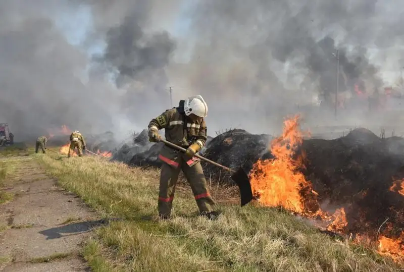 Огонь на границе с нефтебазой остановили пожарные СКО