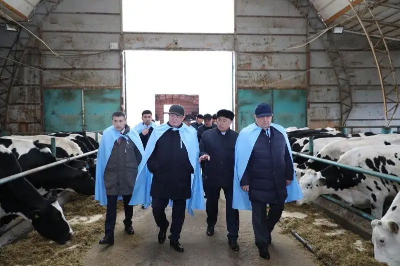 Вопросы дефицита пастбищ сенаторы обсудили с жителями отдалённых районов Туркестанской области