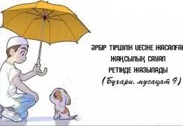 قيىندىقتان قۇتىلۋدىڭ جولى - جاقسىلىق جايۋ