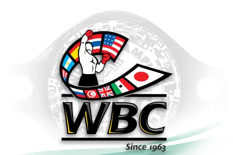WBC: قازاقستاندىق كاسىپقوي بوكسشىلاردىڭ رەيتينگى جاريالاندى