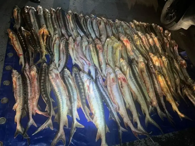 Полицейские изъяли более 300 кг рыбы осетровых пород в Мангистауской области