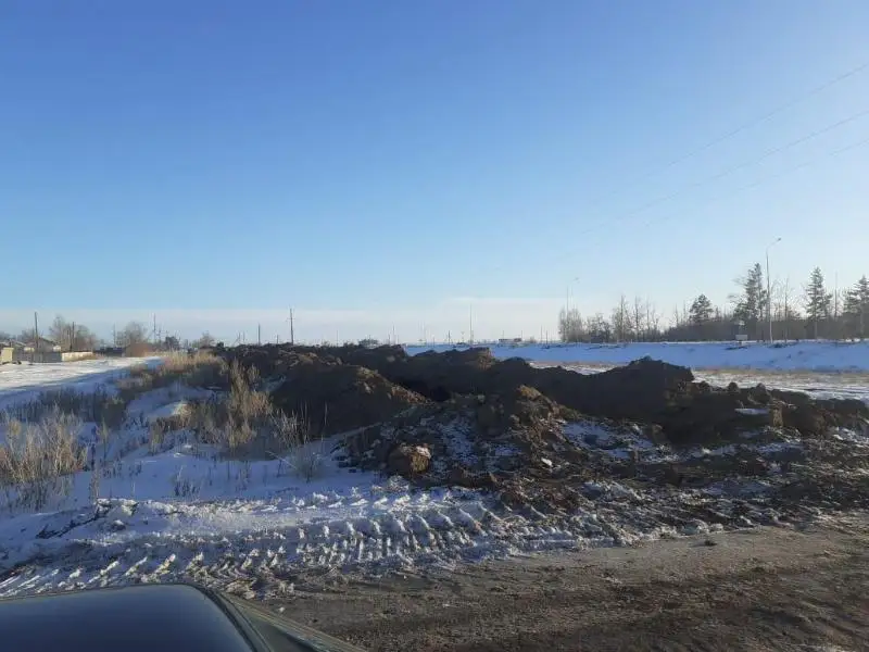 160 растущих вдоль дороги саженцев засыпал землёй экскаваторщик в Павлодарской области