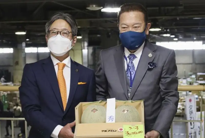 Пара дынь продана за $23,5 тыс. на аукционе в Японии